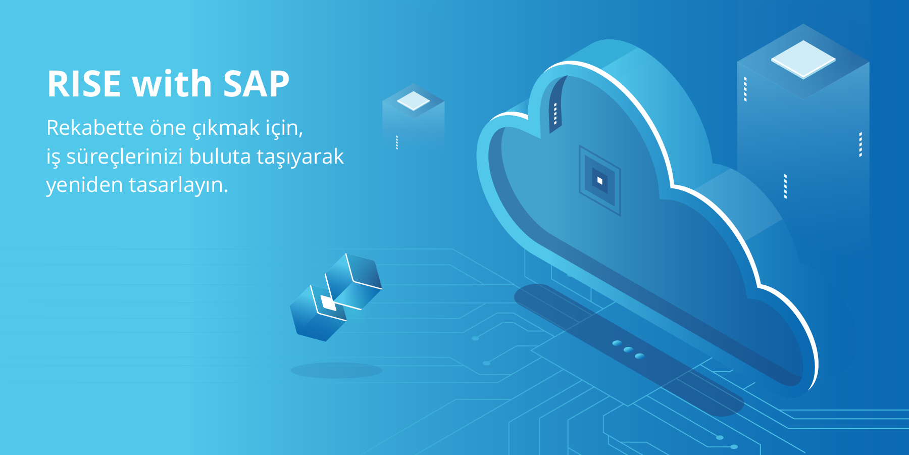 rise_with_sap